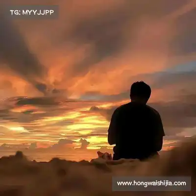 沈秦飚